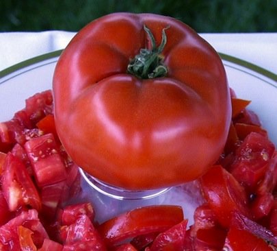 种西红柿-牛排