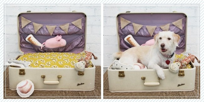 行李DIY项目 - 狗床