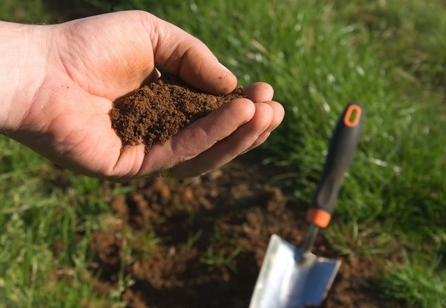春季草坪护理-土壤测试