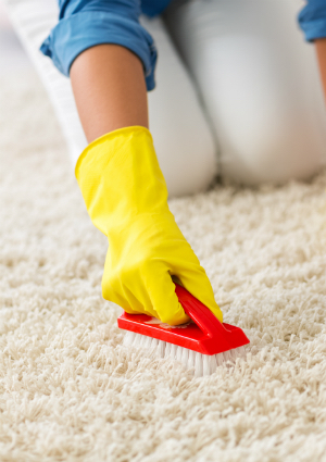 如何去除地毯脱模的霉菌