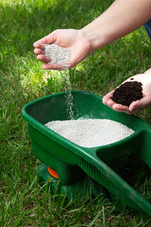 每个园丁都应该知道的肥料类型