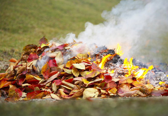 在今年秋天燃烧树叶之前要知道的6件事