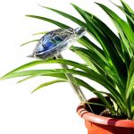 最佳自动植物浇水选择:WonderKathy Glass自动植物浇水球