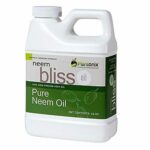 菜园的最佳杀虫剂选项：Neem Bliss Organic 100％冷压制雷米籽油