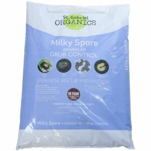 菜园的最佳杀虫剂选择：St Gabriel Organics Milky Spore Grub Pest Controller