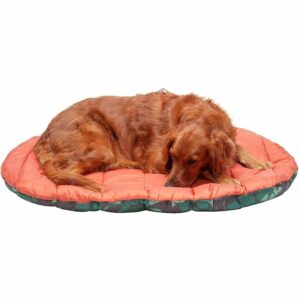 最好的狗床选择:Furhaven宠物-可打包旅行床