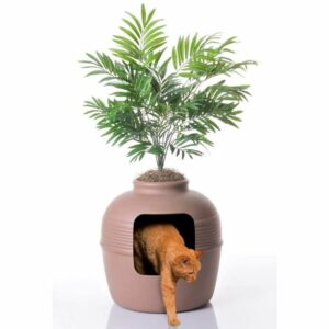 最佳的猫砂盒选择:好的宠物物品隐藏的猫砂盒