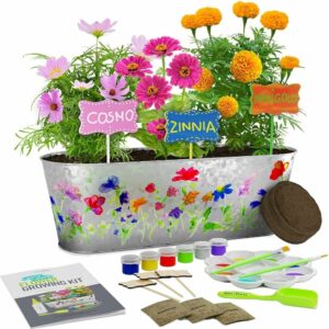 适合儿童的最佳花园套餐选项：油漆与植物花卉生长套件