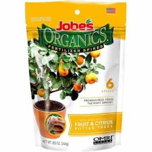 最好的柑橘肥料选项：Jobe的有机水果和柑橘肥，6个尖峰