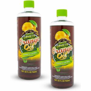 用于清洁选项的最佳精油：绿色玻璃冷压橙色油浓缩物