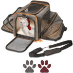 最好的猫载体选项：petpeppy.com原始航空公司批准可扩建的宠物承运人