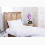 胃睡眠者最好的枕头选择：欧陆式床上用品100％鹅绒枕头
