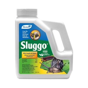 最好的slul killer选项：蒙特里lg6500 sluggo野生动物和宠物安全的slug