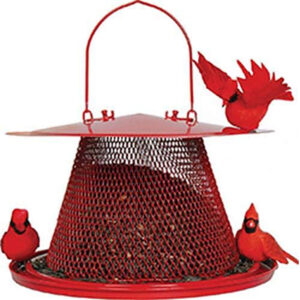 最佳鸟类喂食器为红雀选择:Perky-Pet C00322红色红雀喂食器