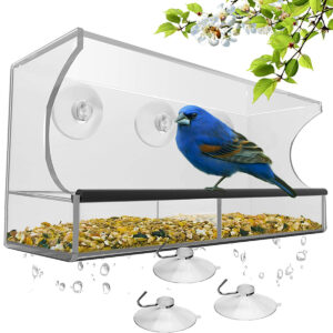 最佳鸟类喂食器为红雀选择:窗口鸟类喂食器与强力吸盘
