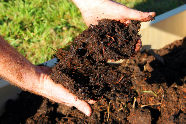 地膜肥料的类型