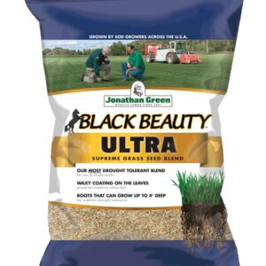 最好的牧草种子选项：乔纳森·格林10323黑美人超级混合
